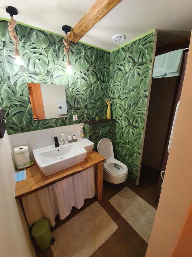 Siedlisko Odpoczynkowo Villa Nowosiolki  Buitenkant foto