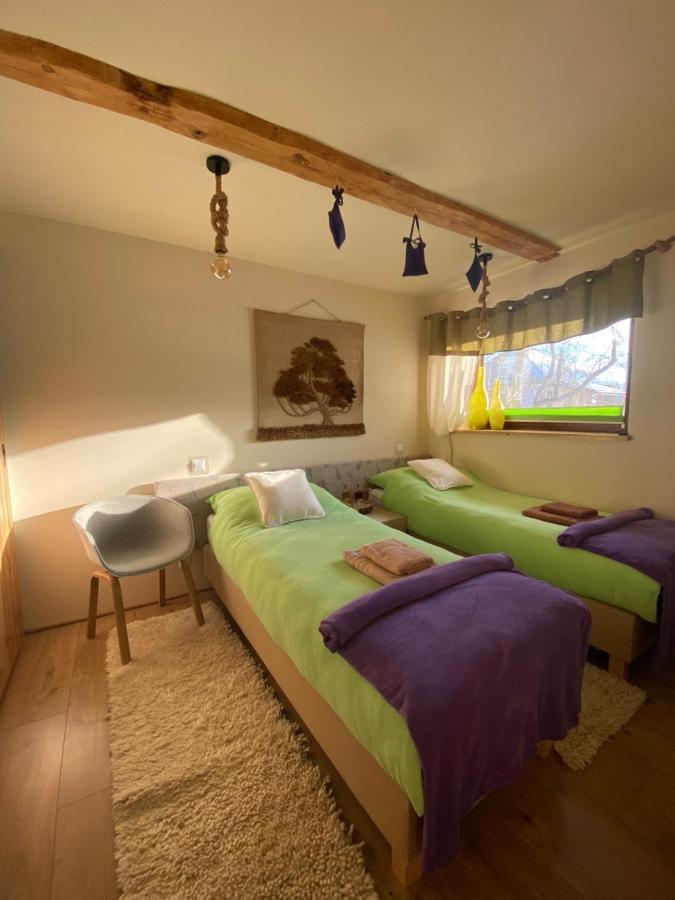 Siedlisko Odpoczynkowo Villa Nowosiolki  Buitenkant foto