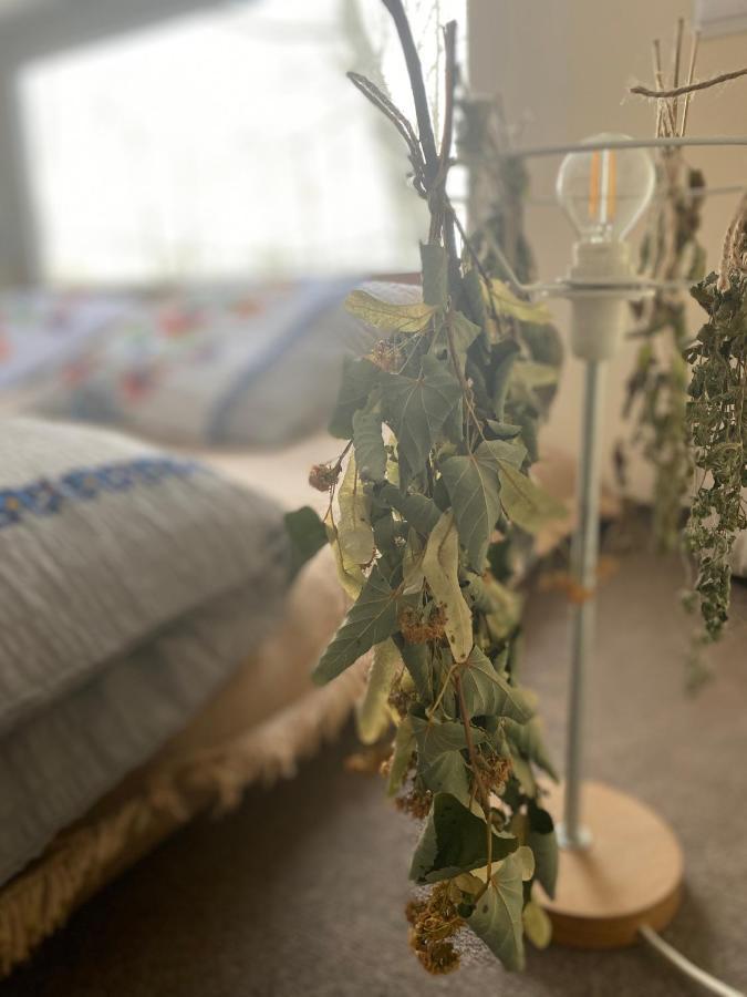 Siedlisko Odpoczynkowo Villa Nowosiolki  Buitenkant foto
